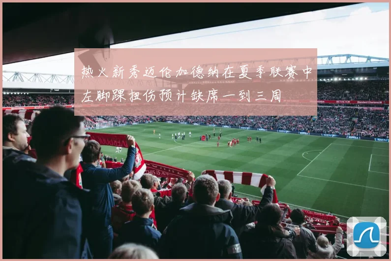 热火新秀迈伦加德纳在夏季联赛中左脚踝扭伤预计缺席一到三周