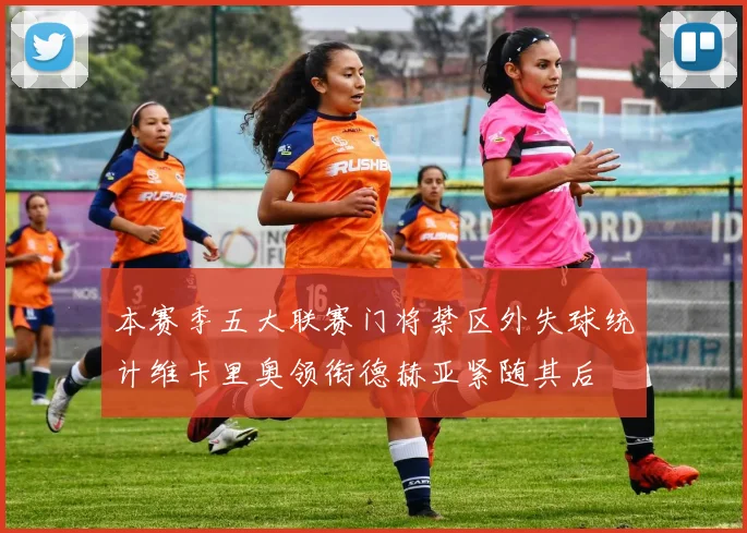 本赛季五大联赛门将禁区外失球统计维卡里奥领衔德赫亚紧随其后
