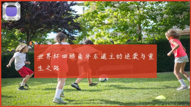 世界杯回顾南非东道主的逆袭与重生之路