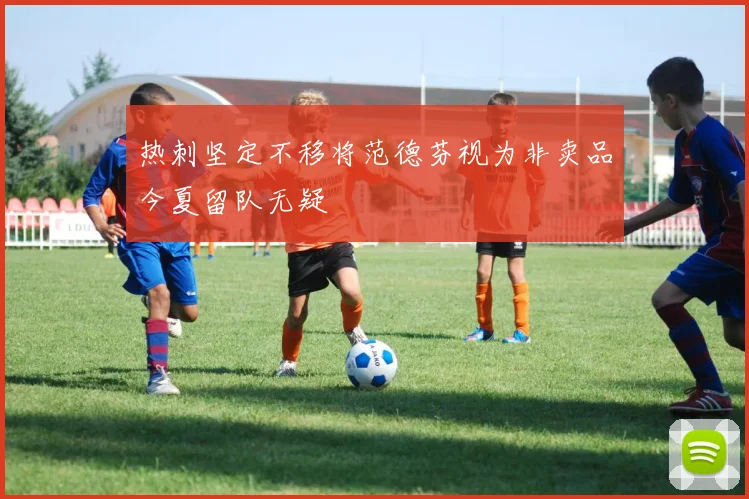 热刺坚定不移将范德芬视为非卖品今夏留队无疑